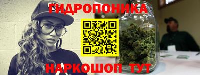 крисы Чебоксары