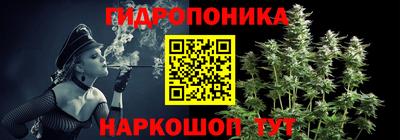 крисы Чебоксары