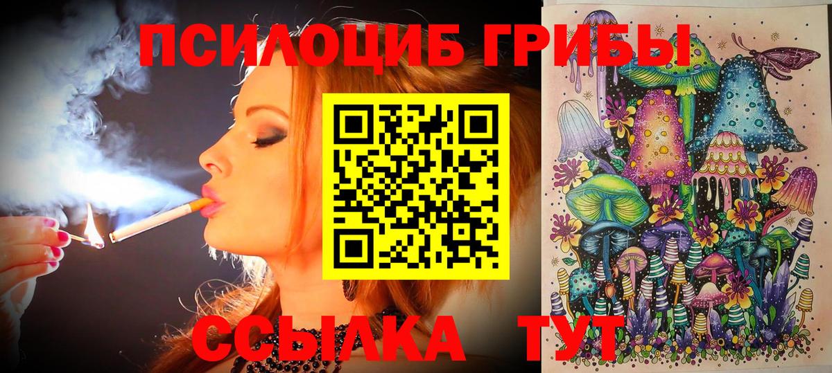 Белогорск  Псилоцибиновые грибы GOLDEN TEACHER  Вход с VPN 