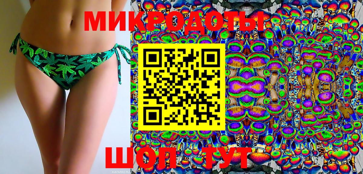Псилоцибиновые грибы Psilocybe Белогорск